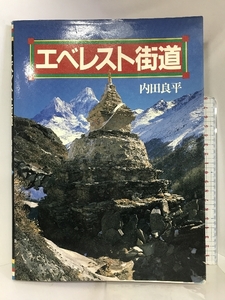 エベレスト街道 山と溪谷社 内田 良平