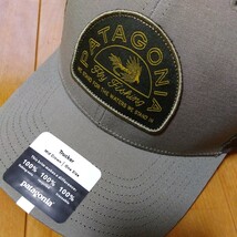 Patagonia Take A Stand Trucker Hat Garden Green w/ Hatch Hour OS パタゴニア　テイク　ア　スタンド　トラッカー　ハット_画像3