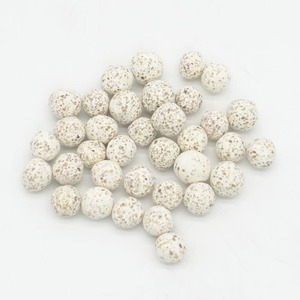  aqua gift recommendation .. material Vaio ball Pro 1L(C-1004) saltwater fish coral organism 