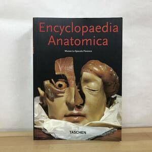 h11●スペゴラ博物館 人体解剖模型 Encyclopaedia Anatomica TASCHEN 洋書 人体解剖 人体模型 解剖学 臓器 胎児 美術 デッサン 医学 230817