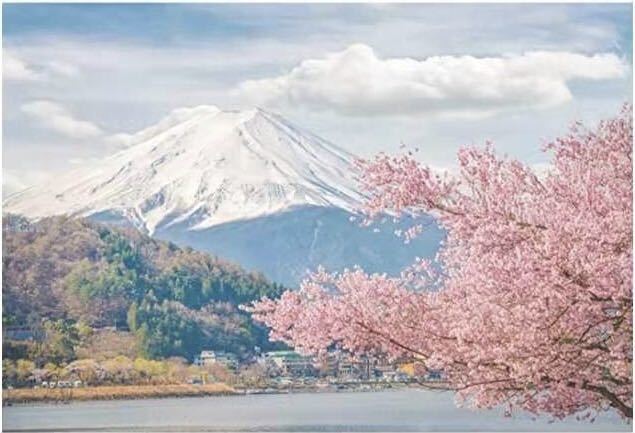 رسم مناظر طبيعية, كبير, مناظر طبيعية خلابة لجبل فوجي!الحجم: الطول 300 سم العرض 210 سم, عمل فني, تلوين, آحرون