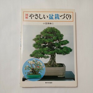 zaa-487♪図解やさしい盆栽づくり/家の光協会/小笠原伸二(著)　1994/4/16