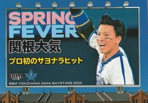 BBM 2023 横浜DeNAベイスターズ 関根大気 DB74 Spring Fever