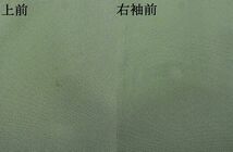 平和屋-こころ店■上質な色無地　鶸茶色　着丈158cm　裄丈62cm　正絹　逸品　A-ja4225_画像8