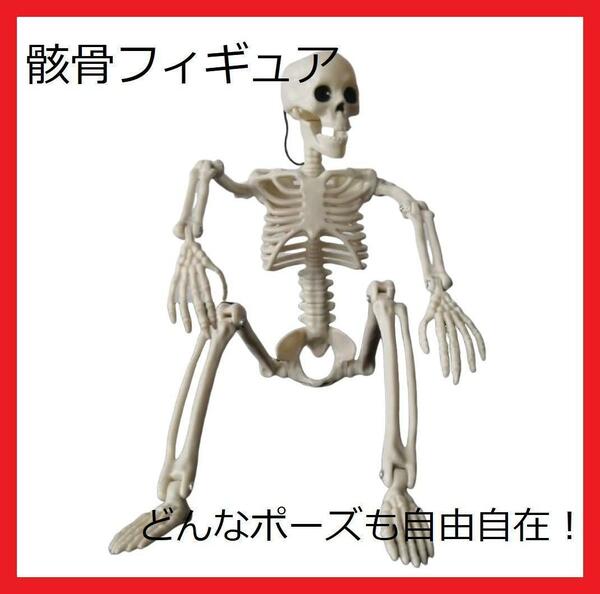 【匿名配送】ガイコツ 骸骨 フィギュア オブジェ デッサン 模型 インテリア ハロウィン　2-1