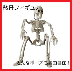 【匿名配送】ガイコツ 骸骨 フィギュア オブジェ デッサン 模型 インテリア ハロウィン　1-1