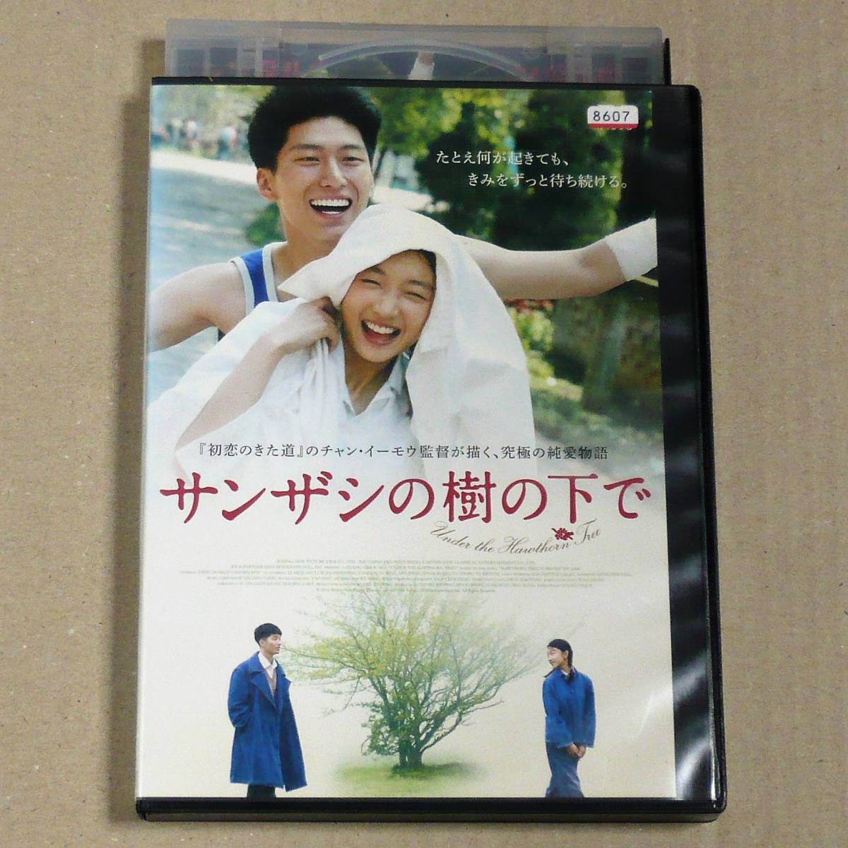ヤフオク! -「サンザシの樹の下で」(映画) (DVD)の落札相場・落札価格