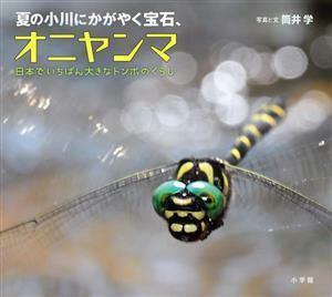 夏の小川にかがやく宝石、オニヤンマ 日本でいちばん大きなトンボのくらし 小学館の図鑑ＮＥＯの科学絵本／筒井学(著者)