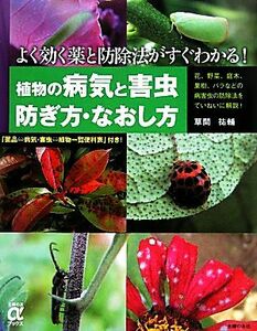 植物の病気と害虫　防ぎ方・なおし方 主婦の友αブックス／草間祐輔【著】