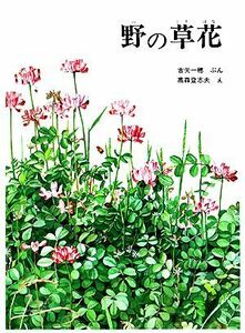 野の草花 福音館のかがくのほん／古矢一穂【著】，高森登志夫【画】