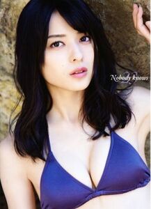 矢島舞美写真集　Ｎｏｂｏｄｙ　ｋｎｏｗｓ２３／矢島舞美,西條彰仁