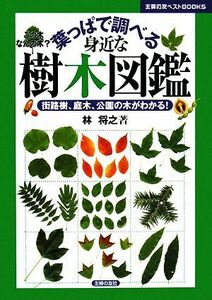 葉っぱで調べる身近な樹木図鑑 街路樹、庭木、公園の木がわかる！ 主婦の友ベストＢＯＯＫＳ／林将之【著】