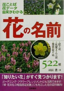 花の名前 庭の花・花屋さんの花・園芸店の花５２２種／浜田豊(著者)