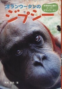 オランウータンのジプシー 多摩動物公園のスーパーオランウータン ポプラ社ノンフィクション２／黒鳥英俊【著】