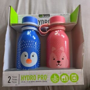 HYDRO PRO REDUCE冷却ドリンクボトル2本セット