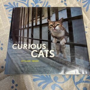 Mitsuaki Iwago Curious Cats rock . light .