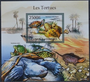 「D819」コモロス諸島切手　2011年　カメ