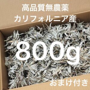 激安お買い得☆800g＜浄化☆邪気祓い☆カリフォルニア産ホワイトセージ枝付き＞