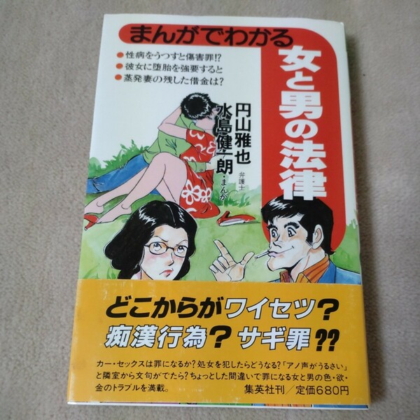 まんがでわかる　女と男の法律　丸山雅也