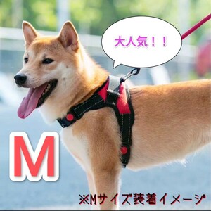 再入荷【Mサイズ】ハーネス 犬用品 レッド 赤 犬服 ペット服