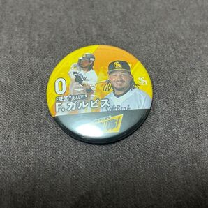 2023年 福岡ソフトバンクホークス F. ガルビス選手 缶バッジ