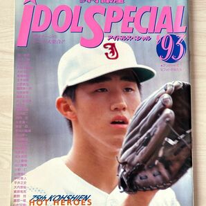 プロ野球ai増刊 アイドルスペシャル’93