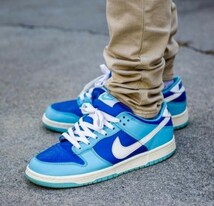 [値下げ交渉] 2022 Nike Dunk Low Retro QS Argon FLASH WHITE-ARGON BLUE-FLASH 28cm DM0121-400 検)ナイキ ダンク ロー レトロ アルゴン_画像1