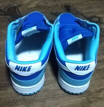 [値下げ交渉] 2022 Nike Dunk Low Retro QS Argon FLASH WHITE-ARGON BLUE-FLASH 28cm DM0121-400 検)ナイキ ダンク ロー レトロ アルゴン_画像7