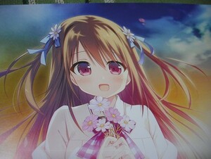 【その花が咲いたら、また僕は君に出逢う★チラシ】永山ゆうのん 永瀬優希 PCゲーム アプリ その君 そのまた light Campus