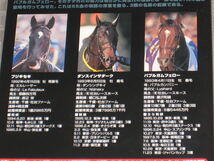 ■DVD「SSを継ぐ者たち フジキセキ・ダンスインザダーク・バブルガムフェロー」帯付/中央競馬/JRA/サンデーサイレンス■_画像4