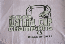 【M】 GILDAN ギルダン Tシャツ コットン 紫 プリント Warbird CUP CHAMPIONS ビンテージ ヴィンテージ USA 古着 オールド IB1174_画像3