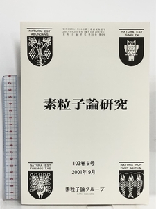 91 素粒子論研究 103巻6号 2001年9月 素粒子論グループ ハイペロンの混合とストレンジネス多体系