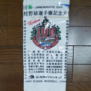 甲子園 高校野球 第100回全国高校野球選手権記念大会 ミニタオル