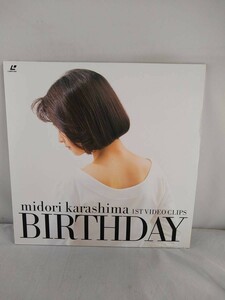 R0107 LD・レーザーディスク　辛島美登里「Birthday ファースト・ビデオ・クリップス」