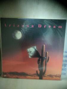 L9238 LD・レーザーディスク 『アリゾナ・ドリーム』（Arizona Dream）　ジョニー・デップ
