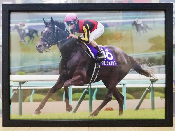 競馬.クロノジェネシス.パネル.競馬ブック.宝塚記念