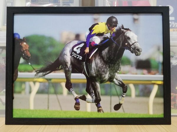 競馬.クロフネ.パネル.勝馬.NHKマイルカップ