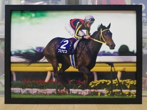 競馬.ブエナビスタ.パネル.勝馬.天皇賞(秋)