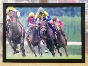 競馬.ディープインパクト.パネル.勝馬.宝塚記念