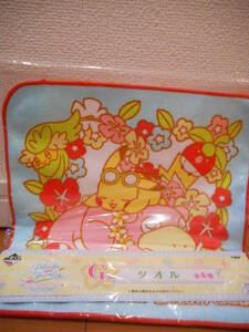  most lot Pikachu &f lens Pokemon G. towel 