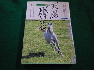 ■天馬駆ける 100％馬の本　永田雄三　鈴木八郎　北海タイムス社■FAIM2023082414■