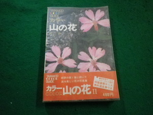 ■カラー山の花2　山渓カラーガイド 　山と渓谷社■FAIM2023082417■