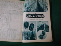 ■園芸新知識 1970年 1～12月(11月欠） 11冊セット タキイ種苗出版部■FAUB2023082801■_画像3