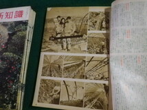 ■園芸新知識 1966年1～12月 （2月欠）11冊セット タキイ種苗出版部■FAUB2023082910■_画像3