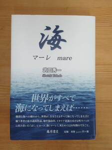 U90▽初版 海 マーレ mare 武田秀一 藤原書店 2017年発行 帯付き 地中海沿岸 イタリア北部 私的小説 230811