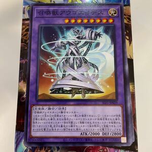 遊戯王　SLF1-JP029　ノーマル　召喚獣アウゴエイデス　SELECTION 5