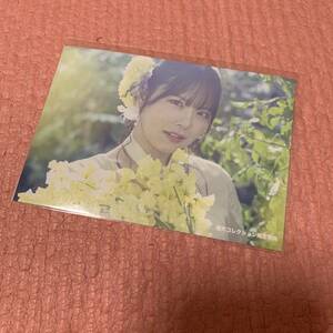 AKB48 STU48 独り言で語るくらいなら 生写真 矢野帆夏 楽天コレクション A賞
