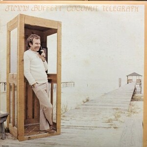 Jimmy Buffett - Coconut Telegraph（★盤面ほぼ良品！）
