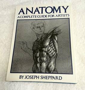 Anatomy A Complete Guide for Artists Joseph Sheppard WATSON GUPTILL ハードカバー 1975 デッサン 素描 ドローイング 解剖学 筋肉 骨格