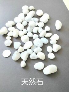 日本海で拾った白い石　天然石